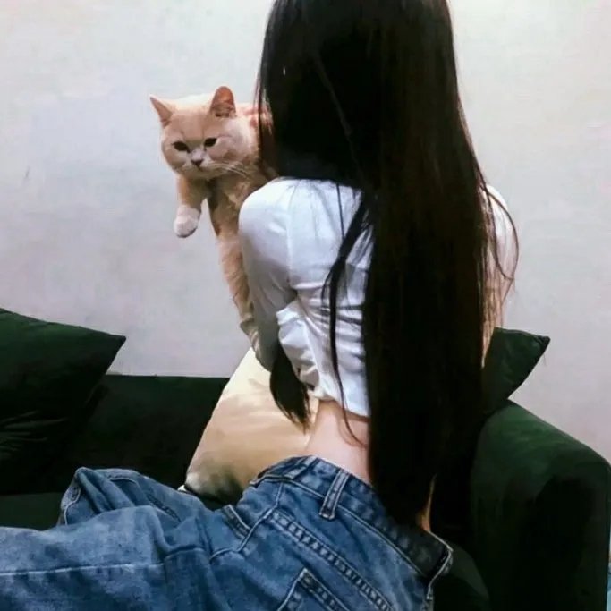 玩惧总动员